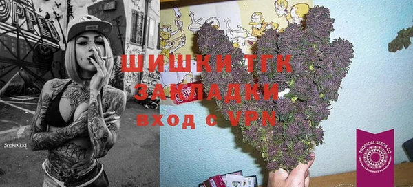 шишки Алексеевка