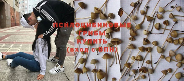 бутират Алзамай