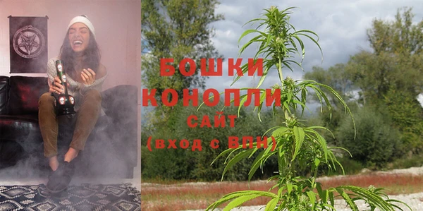 a pvp Алексин