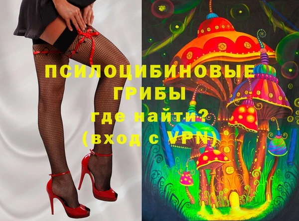 шишки Алексеевка