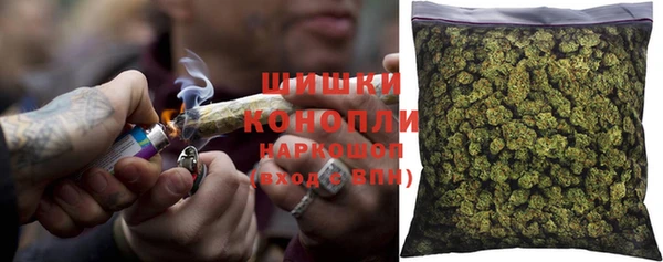 дживик Надым