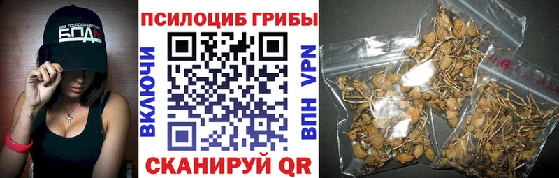 Псилоцибиновые грибы MAGIC MUSHROOMS  что такое   Перевоз 